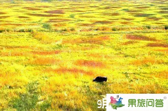 9月份的香格里拉——今年9月想去云南丽江昆明大理旅游好吗