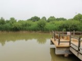 黄河口生态旅游区